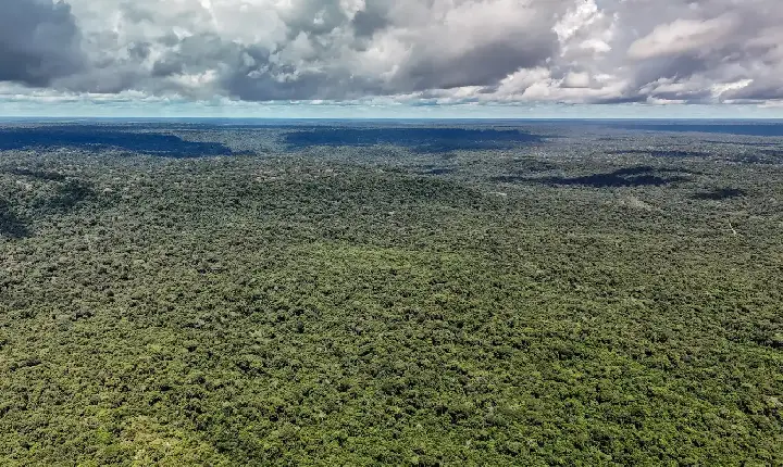 Fazenda autoriza crédito de US$ 1 bilhão do BID para Eco Invest Brasil